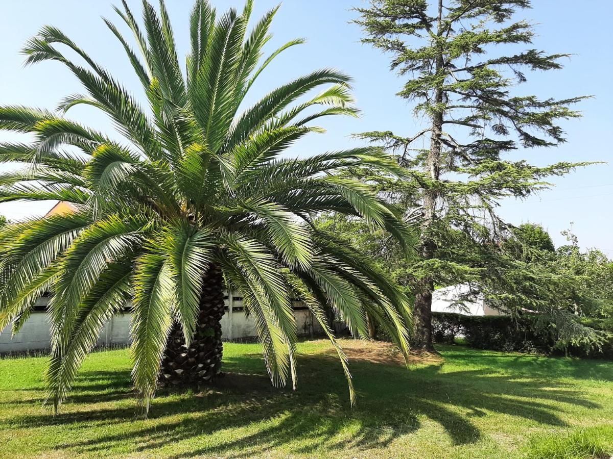 Casa De Verano La Gaviota En Asturias 비야비시오사 외부 사진